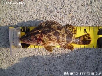 �����Υ���Х�