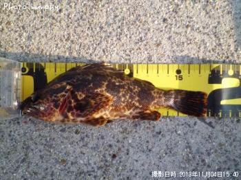 �����Υ���Х�