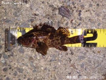 �����Υ���Х�