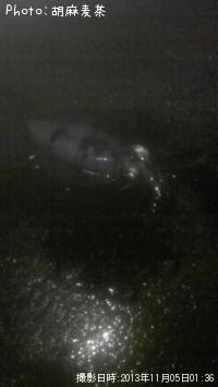 �����ꥤ��