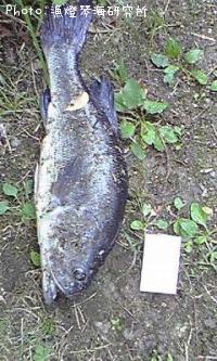 ¥Ö¥é¥Ã¥¯¥Ð¥¹