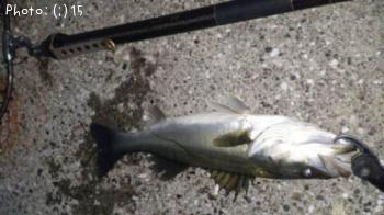 �����Ф�