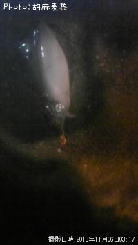 �����ꥤ��