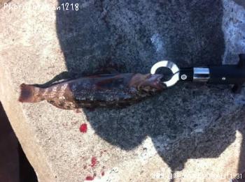 �����ʥ�