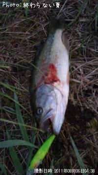 �֥�å��Х�