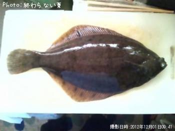 �ޥ����쥤