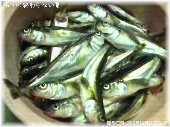 ���ߥʥꥦ��