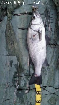 �ҥ饹����