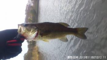 �֥�å��Х�