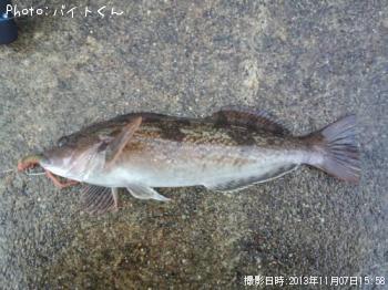 �����ʥ�