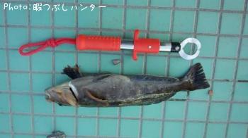 �����ʥ�