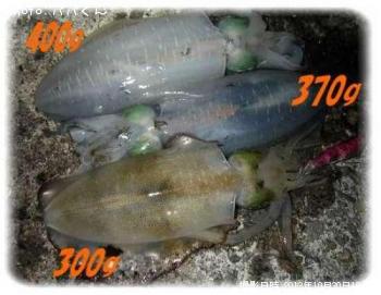 �����ꥤ��