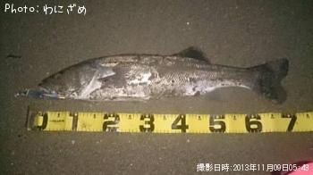 �����Х�