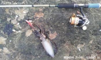 �����ꥤ��