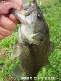 ¥Ö¥é¥Ã¥¯¥Ð¥¹