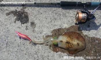 �����ꥤ��