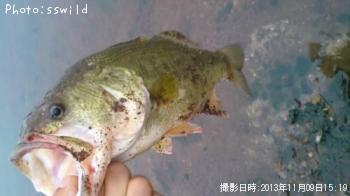 �֥�å��Х�