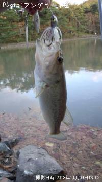 ¥Ö¥é¥Ã¥¯¥Ð¥¹