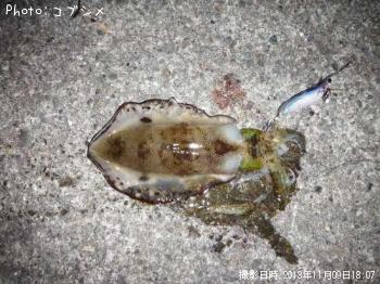 �����ꥤ��