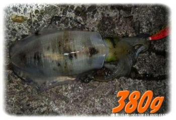 �����ꥤ��