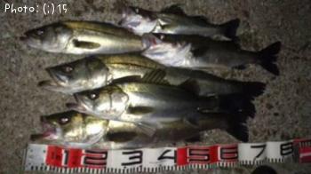 �����Ф�