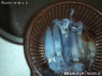 ¥Æ¥¯¥Ó¤¤¤«