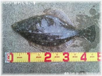 ¥¤¥·¥¬¥ì¥¤