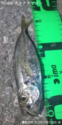 ������Х�