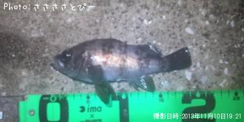 ������Х�