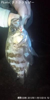 ������Х�