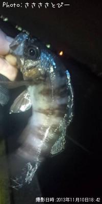 ������Х�