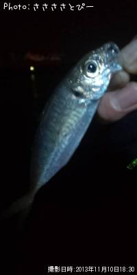 ������Х�