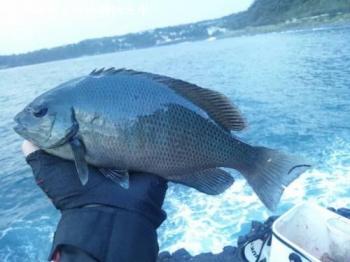 ¸ýÂÀ¥á¥¸¥Ê