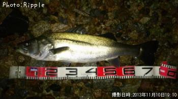 �����Х�