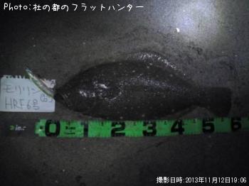 ¥Ò¥é¥á