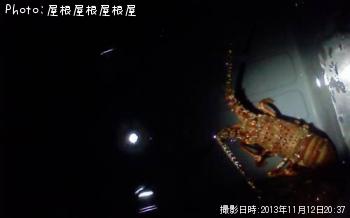 ������Ϸ