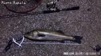 �����Х�