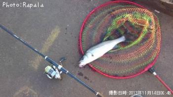 �����Х�