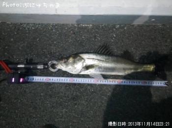 �ҥ����Х�