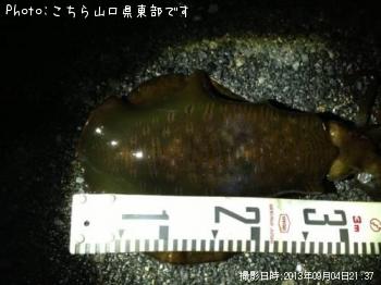 �����ꥤ��