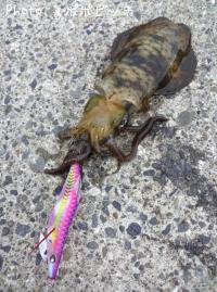 �����ꥤ��