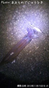 ��ꥤ��