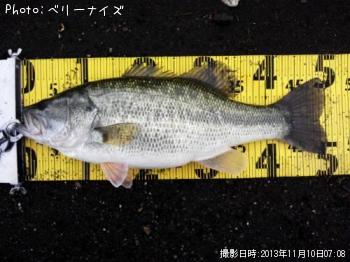 ¥Ö¥é¥Ã¥¯¥Ð¥¹