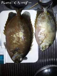 ���ޥ�����