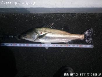 �����Х�