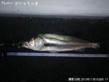 �����Х�