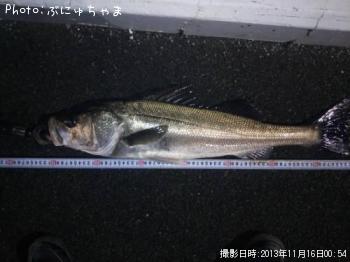 �����Х�