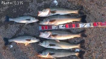 �����Ф�