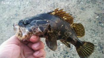 �������������Υ�