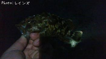 �������������Υ�